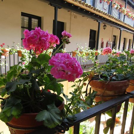 Apartamento Alameda Apartment Sevilla Bagian luar foto