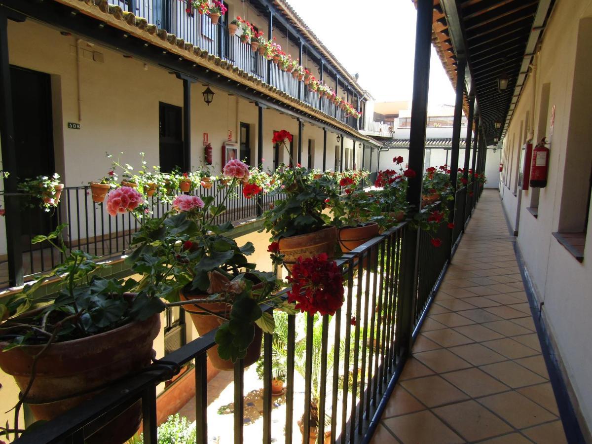 Apartamento Alameda Apartment Sevilla Bagian luar foto